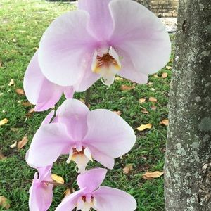 Meet your Posher, Estefania